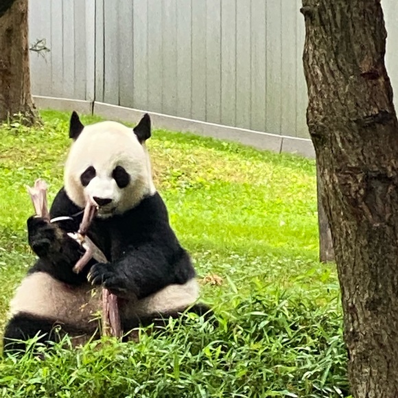 Meet your Posher, Rita - Picture 1 of 1